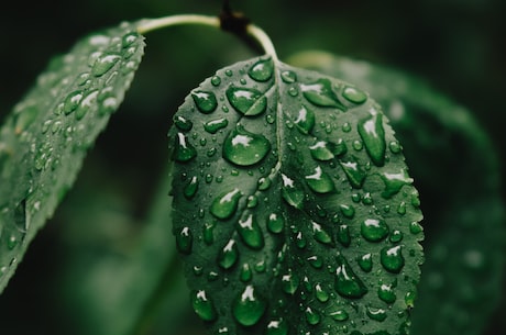 求雨的古诗词中,哪些描写了日晕三更雨？