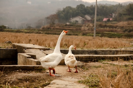 广西罗城：风光旖旎的旅游胜地